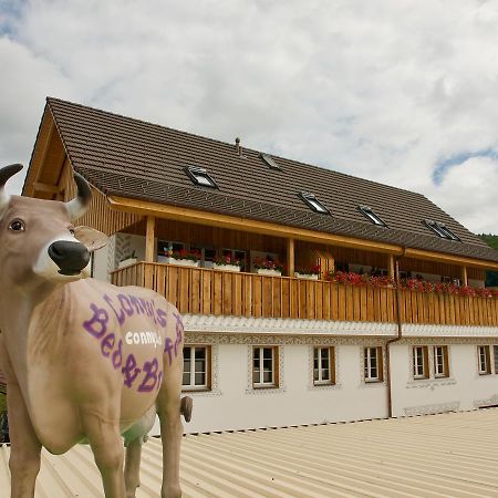 Conny'S B&B Niederweningen Εξωτερικό φωτογραφία