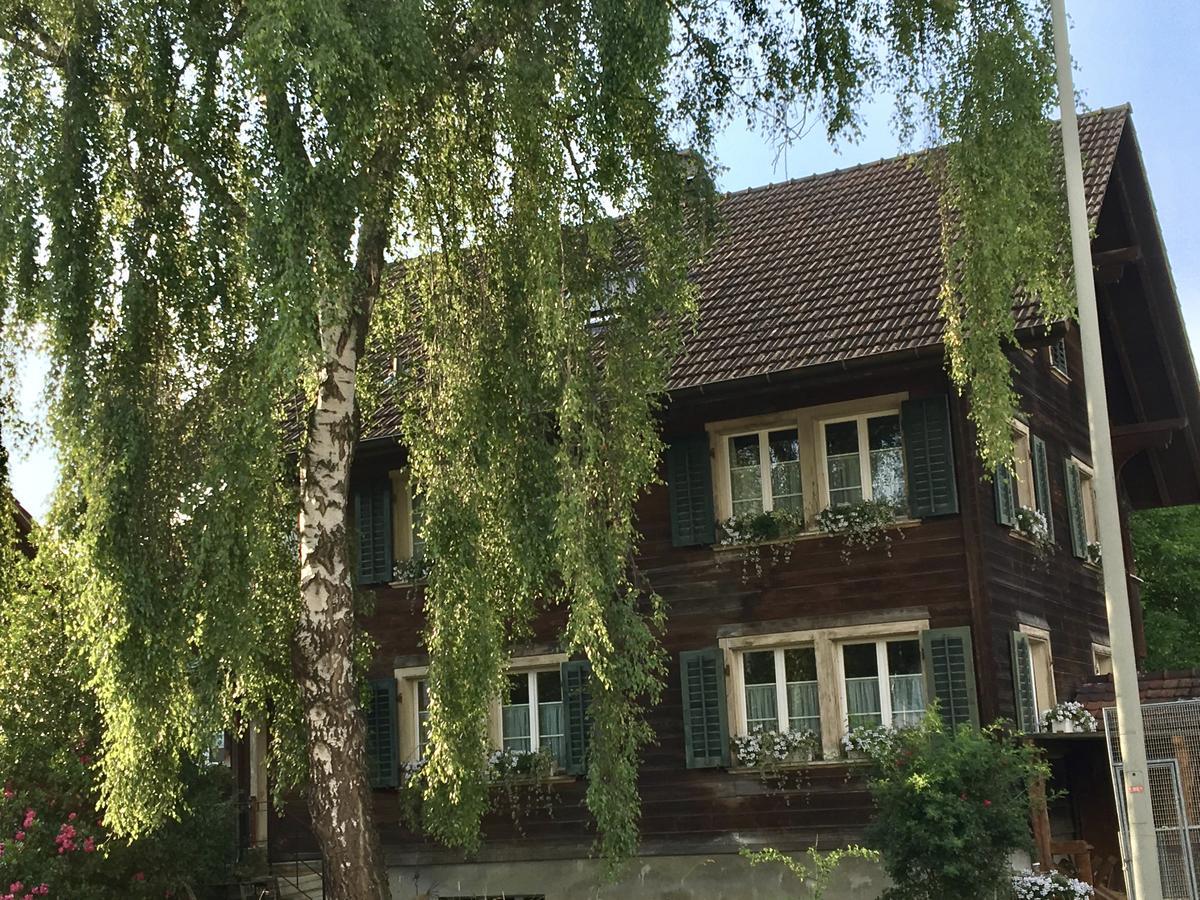 Conny'S B&B Niederweningen Εξωτερικό φωτογραφία