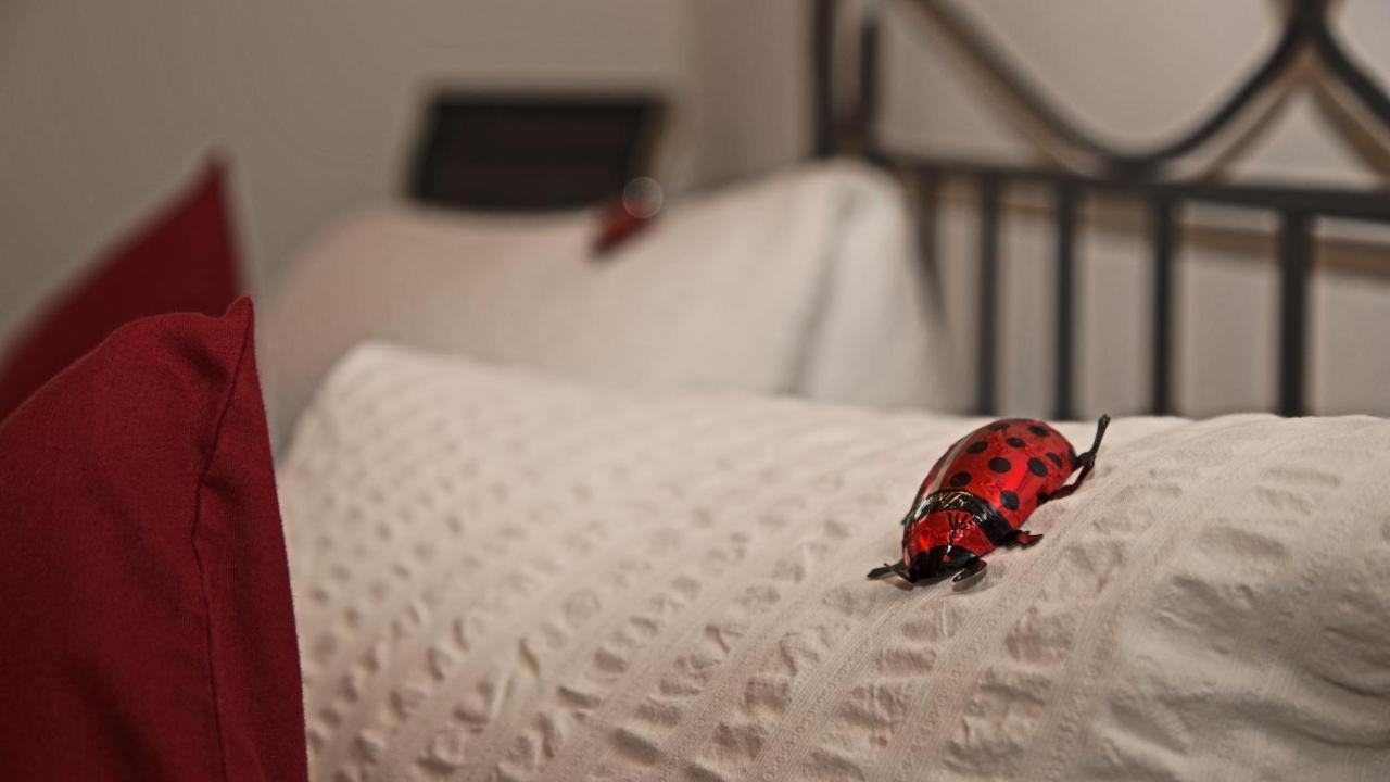 Conny'S B&B Niederweningen Εξωτερικό φωτογραφία